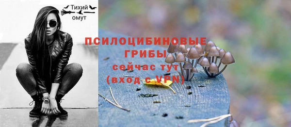 а пвп мука Вяземский