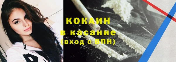 шишки Вязьма