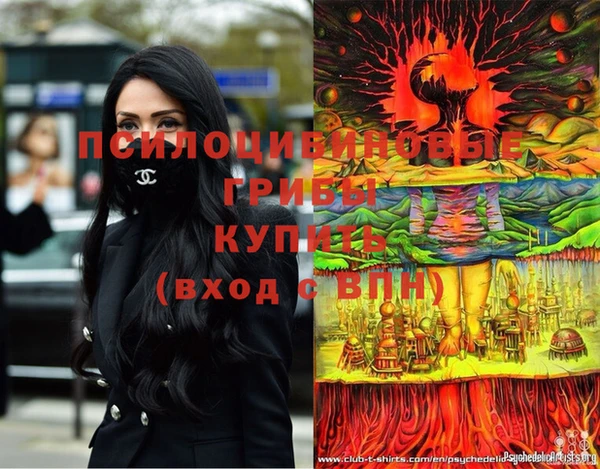 а пвп мука Вяземский