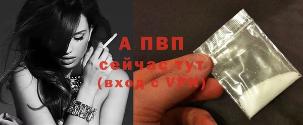 шишки Вязьма