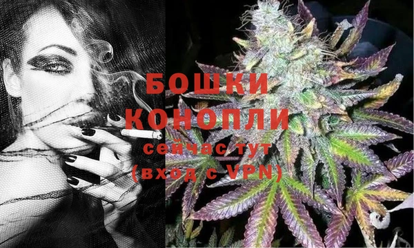 спиды Сосновка