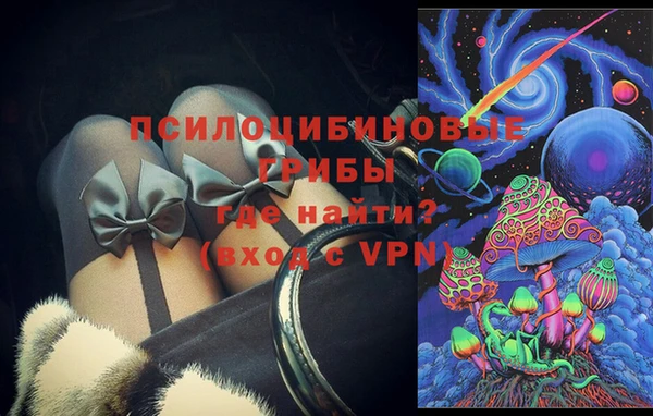 шишки Вязьма