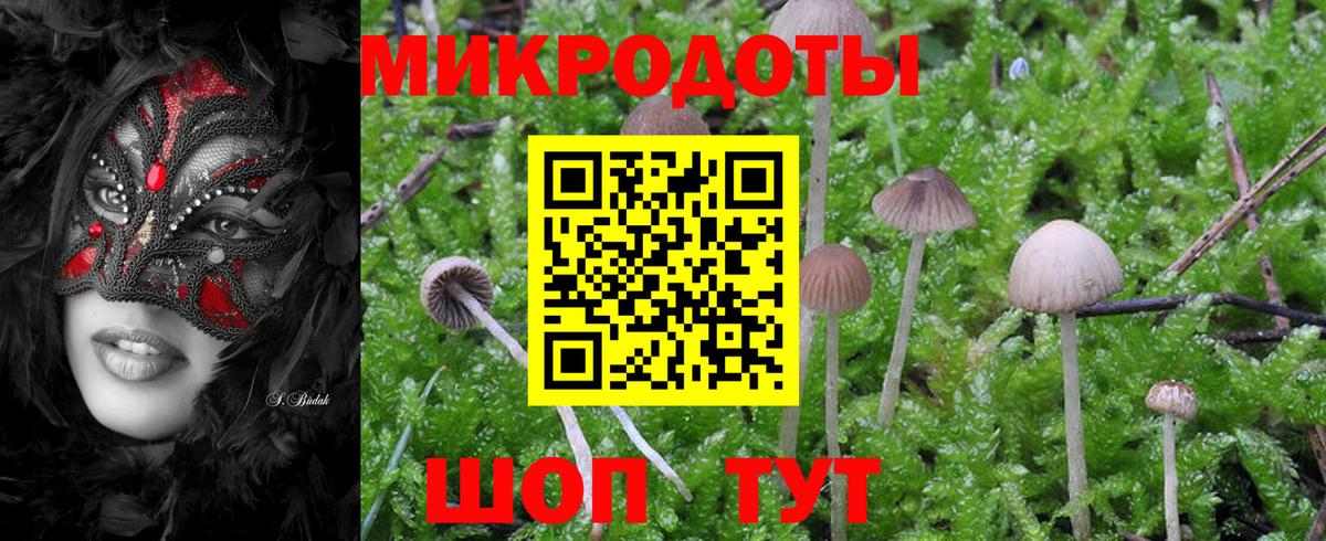Псилоцибиновые грибы GOLDEN TEACHER  Вход с VPN  Симферополь 